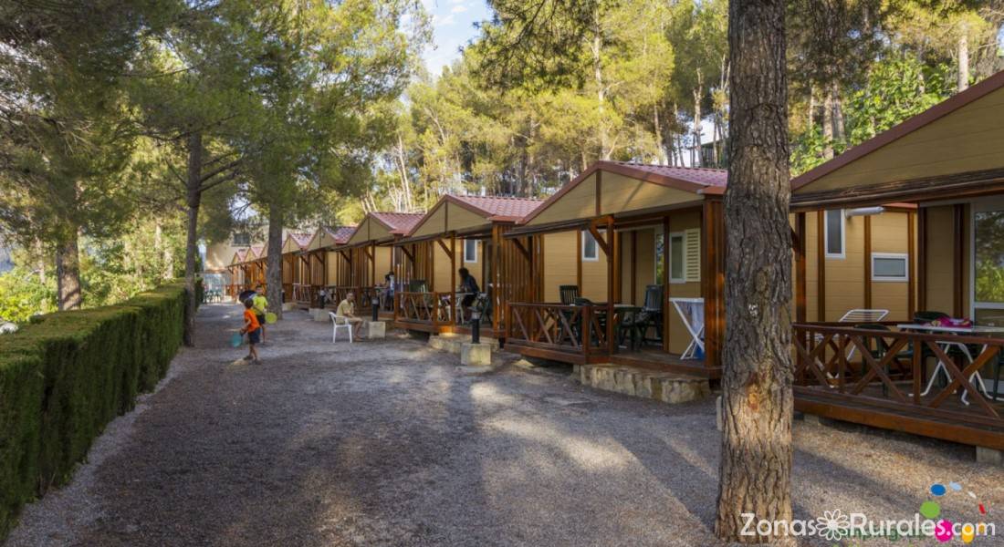 Calle de bungalows entre pinos