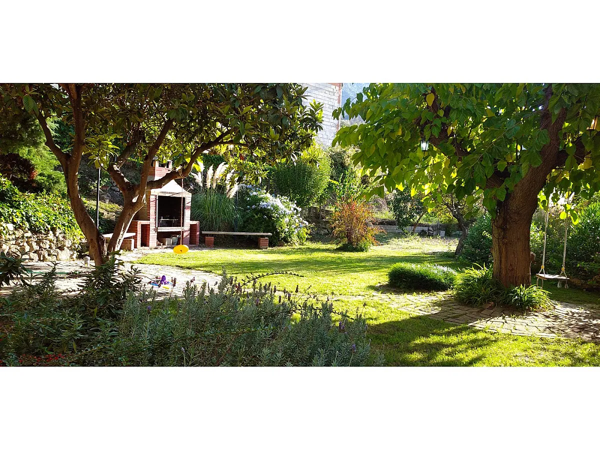 Jardín con árboles