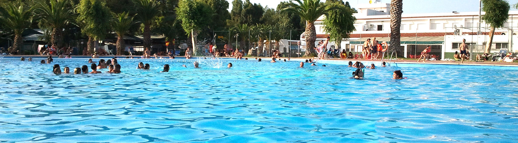 Piscina del Camping Les Palmeres